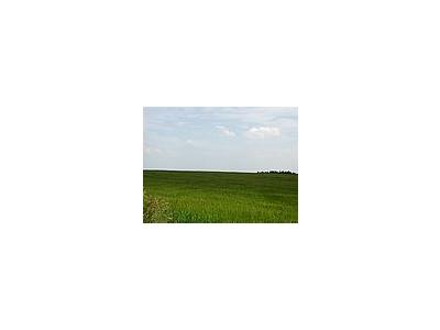 Photo Small Field 48 Landscape