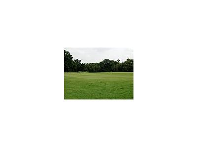 Photo Small Field 52 Landscape