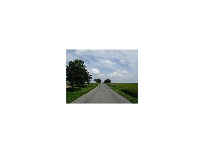 Photo Small Road 1 Landscape