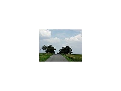 Photo Small Road 3 Landscape