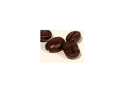 Photo Small Coffee Beans 2 Object