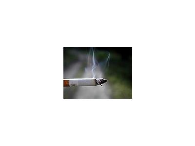 Photo Small Cigaret 7 Object