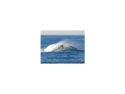 Photo Small Ocean Wave Ocean