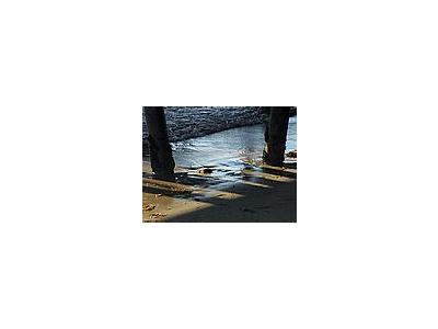 Photo Small Pier Ocean