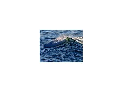 Photo Small Wave Ocean