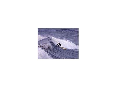 Photo Small Surfing 6 People