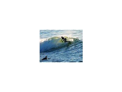 Photo Small Surfing 7 People