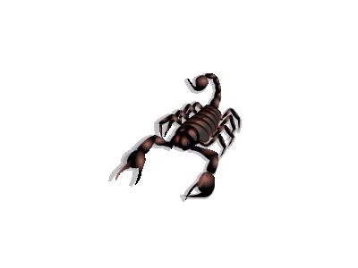 Scorpion Md V0.1 Animal