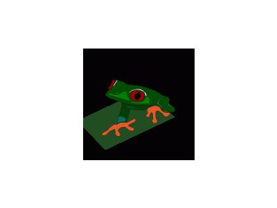 Red Eye Frog Mirko Maisc 01 Animal