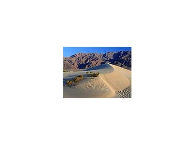 Photo Small Death Valley Sand Dunes Travel