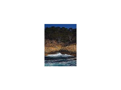 Photo Small Point Lobos Travel