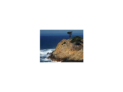 Photo Small Point Lobos 2 Travel