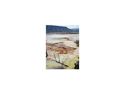 Photo Small Mammoth Hot Springs 4 Travel