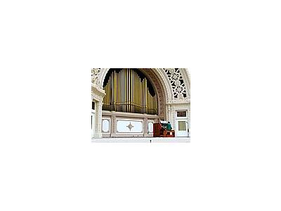 Photo Small Organ 2 Travel