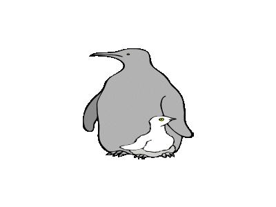 Pinguino Col Piccolo Arc 01 Animal