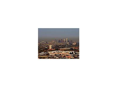 Photo Small Phoenix Skyline Travel