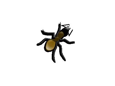 ANT Animal
