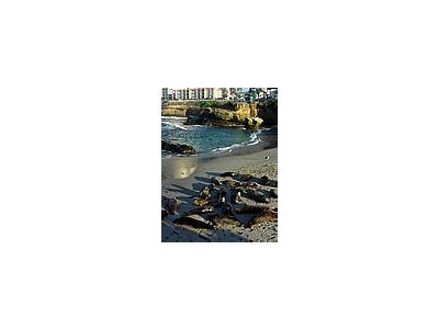 Photo Small La Jolla Cove Travel