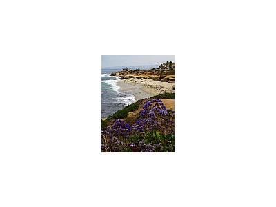 Photo Small La Jolla Cove 12 Travel