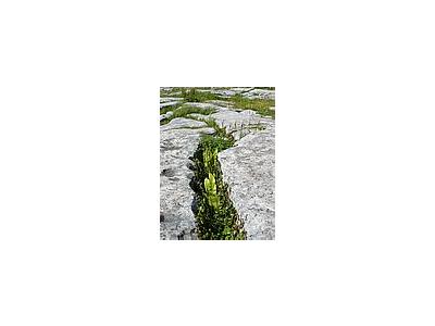 Photo Small The Burren Travel