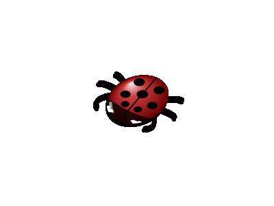 Ladybug 02 Animal