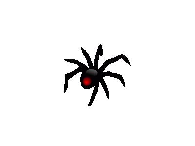 SPIDER Animal