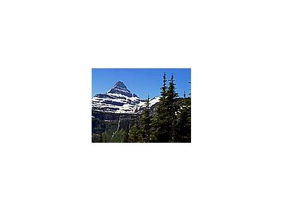 Photo Small Logan Pass Travel