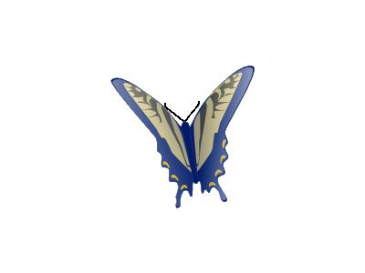 Butterfly Jonathan Dietr 01 Animal