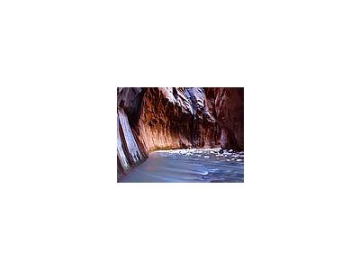 Photo Small Zion Narrows 10 Travel