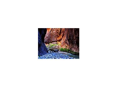 Photo Small Zion Narrows 11 Travel