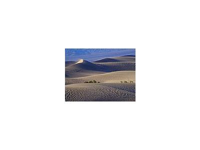 Photo Small Sand Dunes 5 Travel