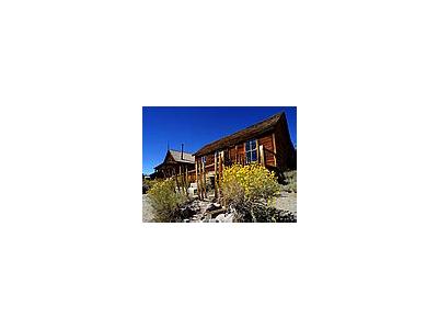 Photo Small Bodie Sagebrush Travel