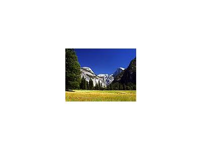 Photo Small Yosemite Meadows Travel