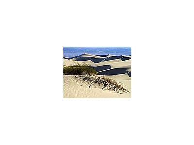 Photo Small Sand Dunes 7 Travel