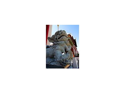 Photo Small Chinese Foo Dogs Travel