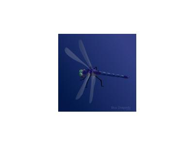 Blue Dragonfly Ghuul Ghu 01 Animal
