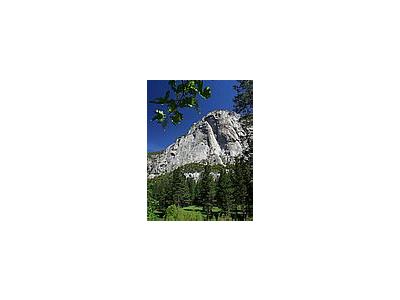 Photo Small Zumwalt Meadow Travel