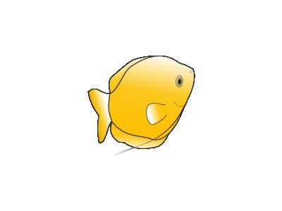 Yellow Gourami 01 Animal