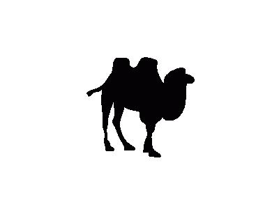 Contour Camel Animal