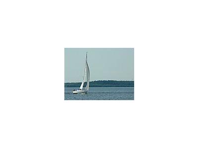 Photo Small Sailingboat Vehicle