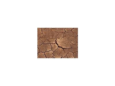 Photo Small Dried Mud Other