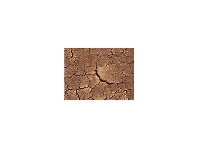 Photo Small Dried Mud Other