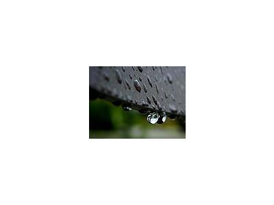 Photo Small Rain Drops Other