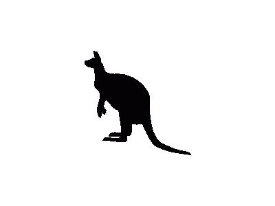 Contour Kangaroo Animal