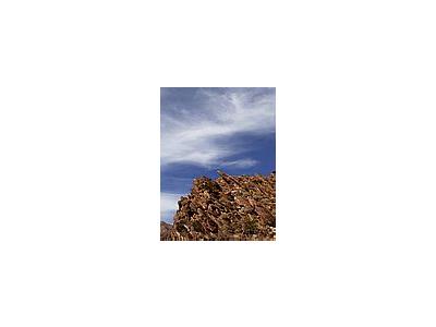 Photo Small Anza Borrego Desert Other