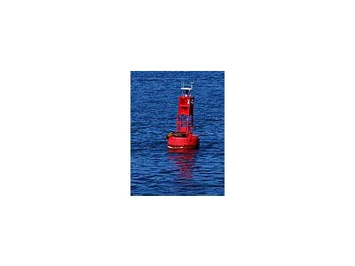 Photo Small Buoy Seal Other