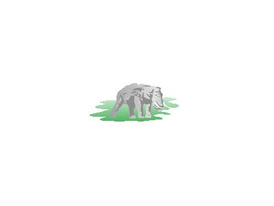 Elephant 01 Animal