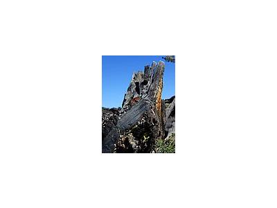 Photo Small Lava 2 Other