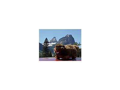 Photo Small Plush Marmot Other