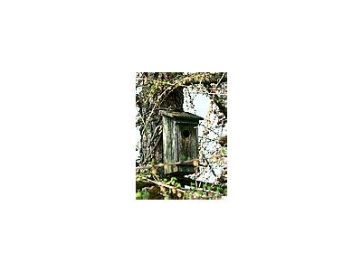 Photo Small Old Wooden Nesting Box Other